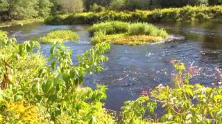 Sheepscot River Canoe Trip Below the Dam to the Bend [upl. by Egin]