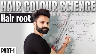 Hair Color Science  PART1  Hair Color Theory In Hindi  Hair Root  Melanin Pigments [upl. by Ahsemit408]