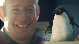 John Lewis Christmas Advert 2014 Parody  RipMonty [upl. by Joell520]