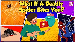 How Does Spider Bite  Worlds Deadliest Spiders  Most Venomous Spider  The Dr Binocs Show [upl. by Ellenhoj]