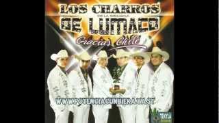 Morir De Amor  Los Charros De Lumaco Gracias Chile [upl. by Mychael]