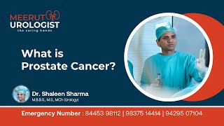 Understanding Prostate Cancer Expert Insights by Dr Shaleen Sharma at Meerut Urologist [upl. by Sawtelle]