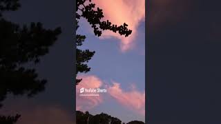 Cotton Candy Sky [upl. by Meyeroff]