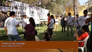 XI Festival del Huarango 2016 [upl. by Zoha]