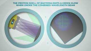 How Bactiscan Works To Effectively Detect Bacteria amp Biofilms Fast amp At Scale [upl. by Nikolaus]