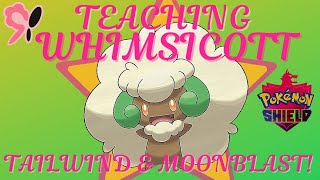 How to Teach Whimsicott Tailwind and Moonblast  Pokemon Shield [upl. by Aspia]