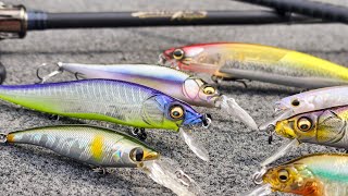 Jerkbait Tips For Early Fall Tricks To Get More Bites [upl. by Levinson949]