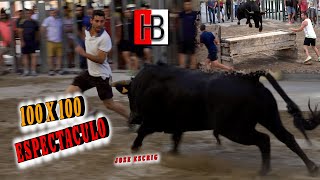 😮‍🔝TOROS CUEVAS DE VINROMA 06062024 [upl. by Darnok]