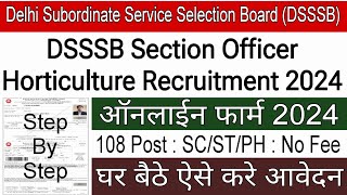 DSSSB Section Officer online form 2024  DSSSB Section Officer form kaise bhare  DSSSB Form 2024 [upl. by Nolitta]