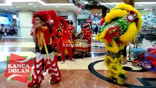 Barongsai 2020 di Mall Metropolis Tangerang [upl. by Hayyim]