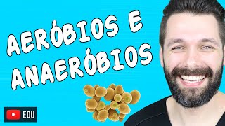 ORGANISMOS AERÓBIOS E ANAERÓBIOS  Biologia com Samuel Cunha [upl. by Secnarf]