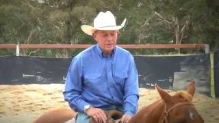 Bruce Mcnaughton Campdrafting  DVD preview [upl. by Siramay326]