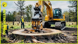 Extreme Dangerous Logging Operations  Biggest Forestry Equipment Machines 5 [upl. by Nohj]