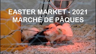 🐥 Easter Market  2021  Marché de Pâques  Sion  Switzerland [upl. by Ahsed]