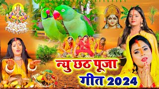 VIDEO  दउरवा लावे गइनी ऐ दीनानाथ  छठ पर्व गीत  sunita lokgeet paramparik chath Vrat Geet [upl. by Mahon754]