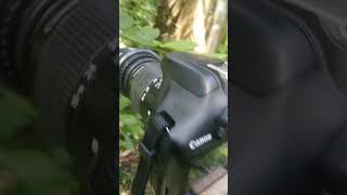 canon 1300D  short  video  photography [upl. by Heinrich]