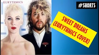 Sweet Dreams Eurythmics cover acoustic guitar and voice shorts [upl. by Aynod]