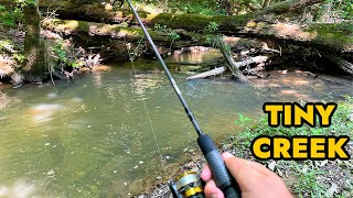 Simplified Creek Ultralight Fishing [upl. by Aitak801]