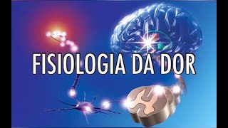 Resumo de Fisiologia da Dor [upl. by Ida]