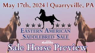 Preview  2024 Eastern American Saddlebred Auction Sale [upl. by Filia]