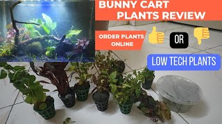 Bunny Cart Plants ReviewBuy or NotLow Tech PlantsNo Co2 No SoilPlanted Tank SetupOnline Plants [upl. by Nahej]