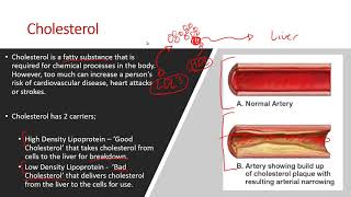 AQA A Level PE 2018  Cardiovascular System Lesson [upl. by Pfister]