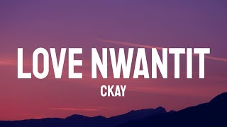 CKay  Love Nwantiti Lyrics [upl. by Amandie]