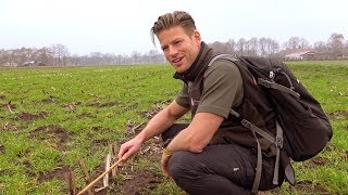 NatuurStreken vol spanning bij de kievit [upl. by Ettedo]