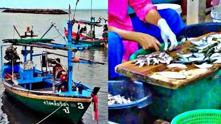 Early morning in a local fishing village near Chaam amp Hua Hin Beach  Phetchaburi travel [upl. by Namrac262]