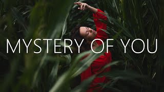 Exede  Mystery Of You Lyrics MEDZ Remix [upl. by Burrill]