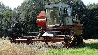 Kulšana 2017 Jenisei Belarus Harvest 2017 [upl. by Jaret]