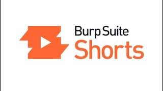 Burp Suite Shorts  Organizer [upl. by Ziana]