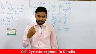 Introduction To Cell Cycle  Interphase In details Phases Of Interphase [upl. by Katrine]