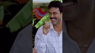 Malliswari Comedy Scene  Malliswari  Venkatesh  short  ytshorts [upl. by Arannahs]