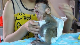 Monkey Baby Donal Cry Not Want Ware Diaper After Bath [upl. by Rayshell65]