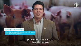 World Zoonosis day FAOExpertsOpinion Andrés González [upl. by Celtic]