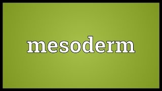 Mesoderm Meaning [upl. by Nalor840]