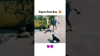 Sigma Rule Boy 😡 l dog boy sigmarule shorts [upl. by Wexler]