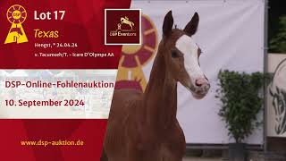 Lot 17 v TecumsehT  Icare DOlympe AA [upl. by Suk]