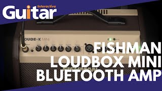 Fishman Loudbox Mini Bluetooth Amp  Review [upl. by Tullius]