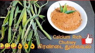 Pirandai Thuvaiyal recipe  Pirandai chutney Adamant creeper chutney in tamil  Deepas Tea time [upl. by Hcone]