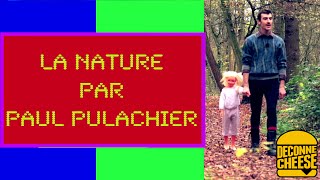 La Nature par Paul Pulachier  Les manchots amp les pingouins [upl. by Lemkul]