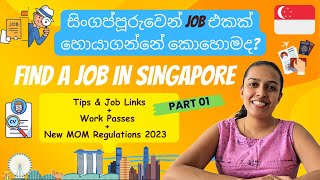 How to Find a Job in Singapore  සිංගප්පූරුවේ රැකියාවට එන්න කැමතිද  New Update  Sinhala [upl. by Eelrak]