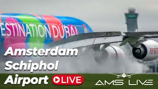 Live Arrivals at Amsterdam Schiphol Airport [upl. by Almeta]