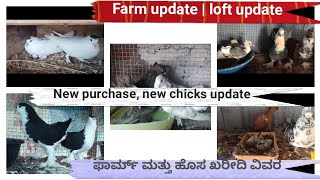 Farm update  New purchase  Pigeon farm Mandya ಫಾರ್ಮ್ ಅಪ್ಡೇಟ  ಹೊಸ ಖರೀದಿ  ಪಾರಿವಾಳ ಫಾರ್ಮ್ ಮಂಡ್ಯ [upl. by Eittak]