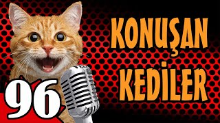 Konuşan Kediler 96 En Komik Kedi Videoları [upl. by Dier]