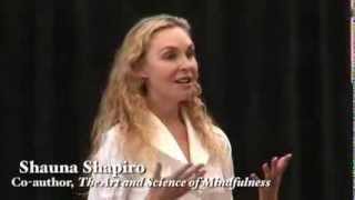 Shauna Shapiro How Mindfulness Cultivates Compassion [upl. by Bently]