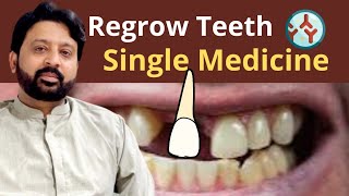 How to Regrow Your Teeth with a Single Medicine  New Japanese Research [upl. by Iffar]