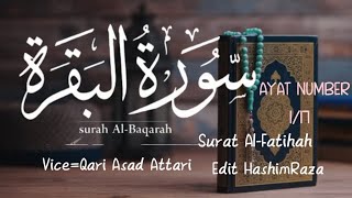 Surat alFatiha  Surat alBaqarah  ayat number 17  Qari Asad Attari  By lines Tilawt Quran [upl. by Dal400]