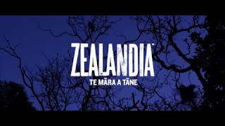 ZEALANDIA By Night tour [upl. by Hogan]